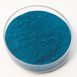 May include: A close-up shot of a clear, round petri dish filled with a vibrant, teal-colored powder. The powder has a fine, textured appearance, and the dish is set against a plain white background.