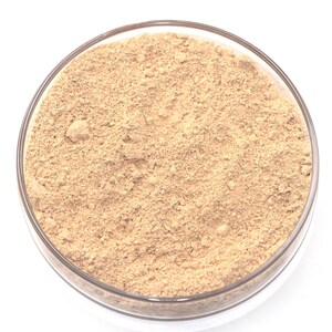 Light Yellow Ochre Pigment  |  Natural Earth for Oil, Watercolor, Encaustic, Fresco, Tempera