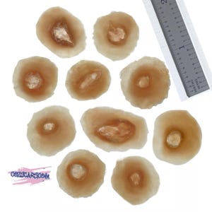 May include: Ten realistic-looking fake skin wounds, each with a different shape and size, for use in special effects makeup or theatrical productions.