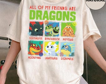 How To Train Your Dragon Hidden World Dragon Friends T-Shirt, Disney Night Fury Toothless Tee, Toothless Dragon Tee,Disneyland Family Outfit