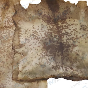 Op de afbeelding: Een close-up van een stuk oud, versleten en verbleekt papier met bruine vlekken en een ruwe textuur.