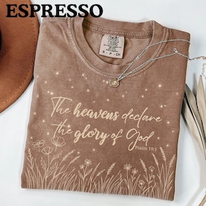 An espresso brown Comfort Colors t-shirt featuring a Psalm 19:1 celestial floral design, displayed alongside a brown hat and dried grass.