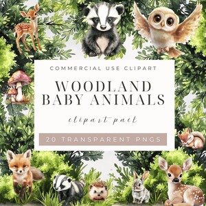 Joli pack clipart bébés animaux des bois, art numérique, clipart, animaux des bois, fête d'anniversaire, chambre de bébé, art mural, créations en papier