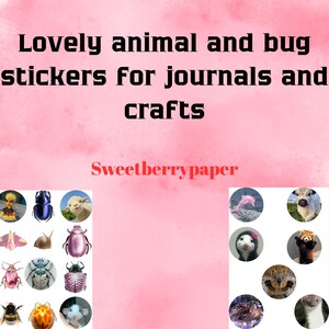 Mooie dieren- en insectenstickers voor tijdschriften en knutselen, stickers met schattige dieren