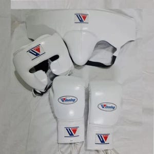 Winning Style Boxing Set Gloves Headgear Groin Guard | Pro Training Gear Made in Pakistan