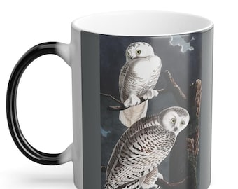 Mystical Owl Color Morphing Mug