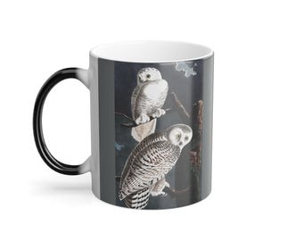 Mystical Owl Color Morphing Mug, Change Color with Heat, Unique Gift for Nature Lovers, Coffee Mug, Halloween, Night Owl Coffee Mug,