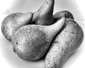 Black and White Pears Fruit Print: Kitchen Wall Art