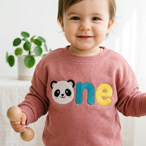 May include: A dusty rose long-sleeve sweatshirt featuring a central graphic of a panda face replacing the letter O in the word one. The letters n and e are embroidered in teal and yellow respectively. The sweatshirt has a ribbed crew neckline.