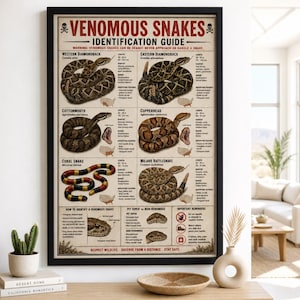Puede incluir: Un póster educativo enmarcado titulado VENOMOUS SNAKES IDENTIFICATION GUIDE. Presenta ilustraciones de seis especies de serpientes con nombres científicos, rangos de longitud en cm, descripciones de hábitat y mapas de distribución.
