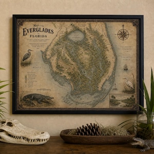 May include: A framed vintage-style map titled Map of the Everglades of Florida, featuring detailed topography, a compass rose, illustrations of a heron, an egret, and an alligator, all set against a sepia-toned background with black text.