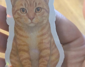Orange Tabby Cat Magnet: Sunny Stripes