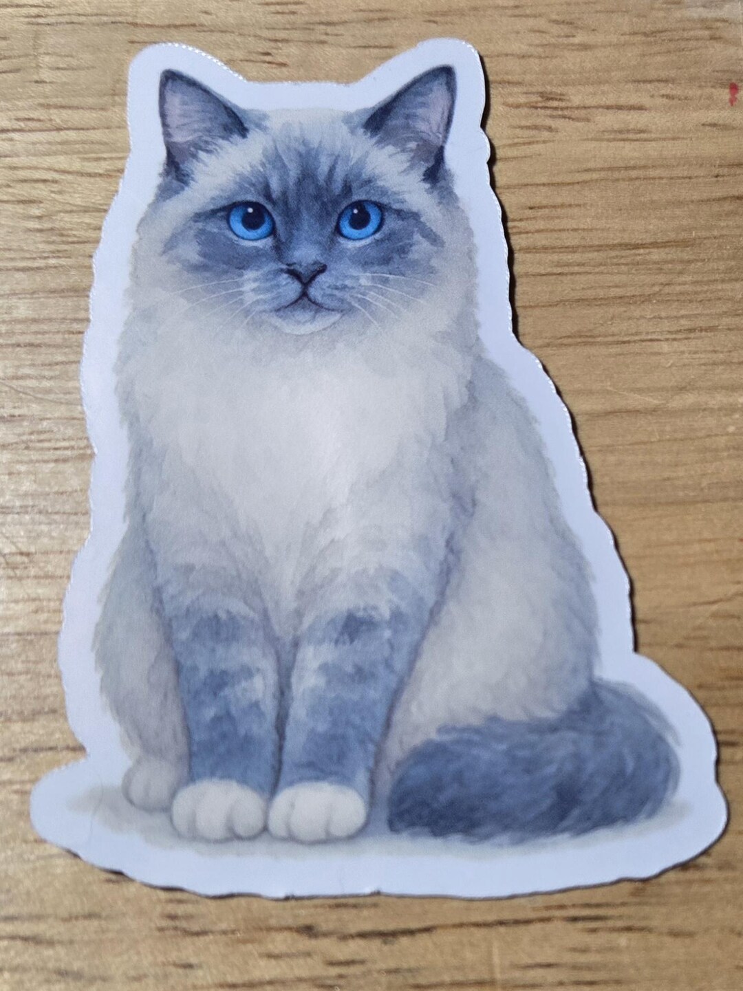 Blue Colorpoint Ragdoll Floof Vinyl Sticker or Magnet - Etsy