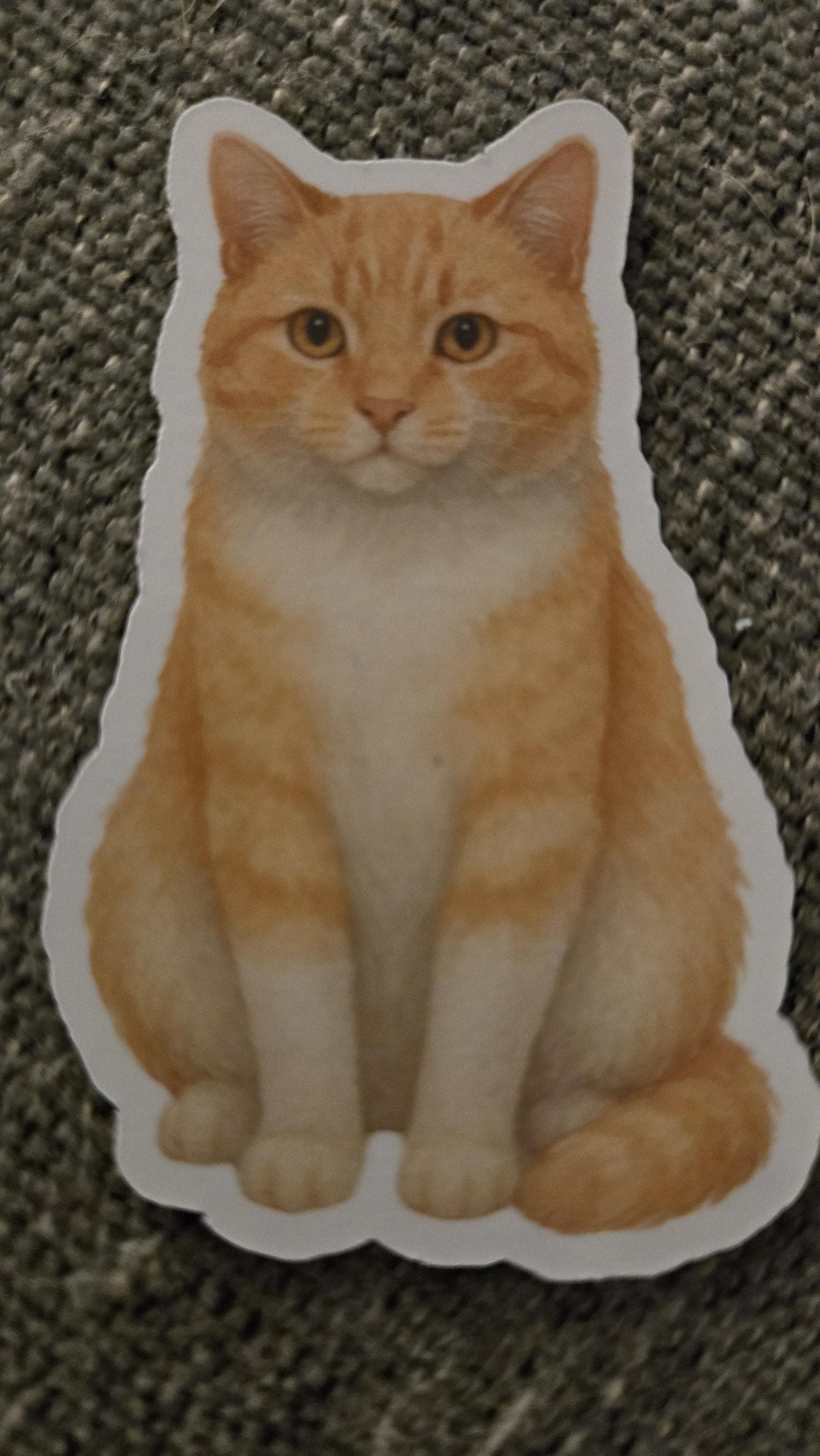 Ginger Tabby Cat Sticker – Orange Tuxedo Cat Magnet - Etsy