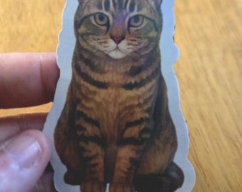 Majestic Tabby Cat Iridescent Magnet-Perfect for Cat Lovers