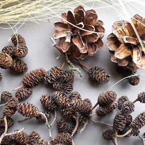 Può includere: Un set di tre tazze in ceramica con finitura opaca e macchiettata. Le tazze sono nei toni del crema, grigio chiaro e grigio scuro. Ogni tazza ha un design semplice e minimalista e un manico arrotondato.