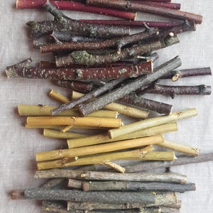 Pode incluir: Uma coleção de gravetos de madeira natural dispostos em um padrão de gradiente. Os gravetos variam de cor, desde o marrom avermelhado profundo e marrom escuro no topo até tons de bege claro, verde oliva e, finalmente, cinza e preto.