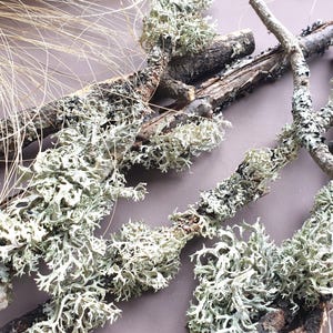 Wooden branches and twigs with natural lichen moss, Dried tree branches for your arts, crafts and DIY projects, Natural primitive supplies