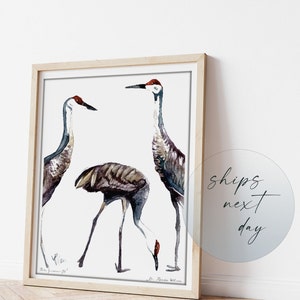 sandhill crane bird painting, watercolor print, bird lover gift