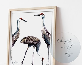 Sandhill Crane Art Print: Coastal Bird Watercolor Painting