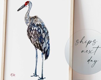 Sandhill Crane Art Print, Modern Coastal Decor Contemporary Bird Art, Florida Wildlife Artwork