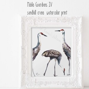 sandhill crane art