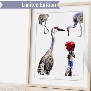 Sandhill Crane Art Print Limited Edition, Modern Florida Bird Wall Art
