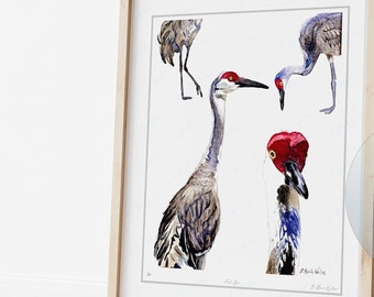 Sandhill Crane Art Print Limited Edition, Coastal Decor Wall Art, Florida Birds