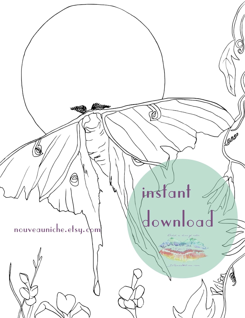 Luna Moth Printable Coloring Page Coloring Sheet Celestial | Etsy