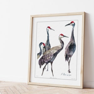 Sandhill Cranes Painting Limited Edition Art Print, Contemporary Wildlife Artwork, Modern Bird Decor