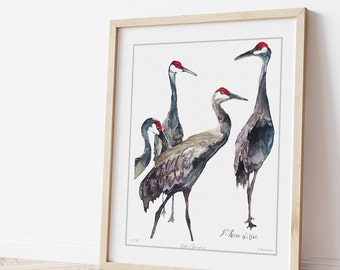 Sandhill Cranes Painting Limited Edition Art Print, Contemporary Wildlife Artwork, Modern Bird Decor