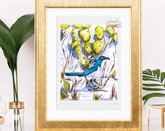 Florida Scrub Jay Painting Watercolor Limited Edition Prints, Backyard Birds Ecology Wall Art