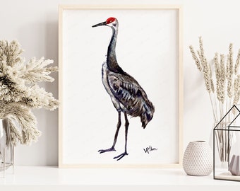 Sandhill Cranes Painting Watercolor Print, Bird Wall Art, Florida Wildlife Artwork