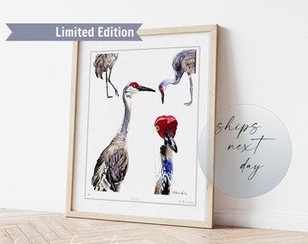 Sandhill Crane Art Print Limited Edition, Coastal Decor Wall Art Prints, Meaningful Florida Bird Lover Gift