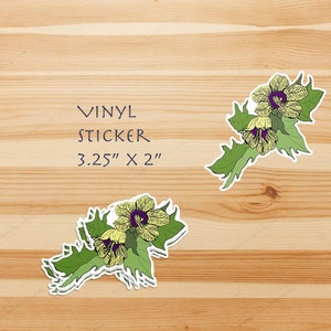 Henbane Vinyl Sticker Laptop Decal for Notebook Computer, Suitcase, BOS Witchy Gifts, Poison Plants Art image 2