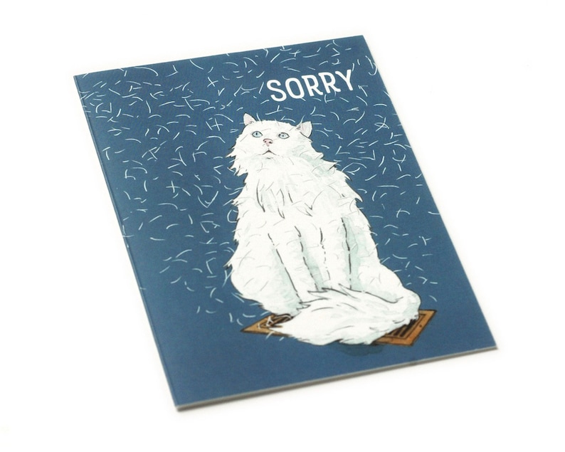 Funny Apology Card i/'m sorry Blank Inside sorry card forgive me illustrated greeting card sweet friend card