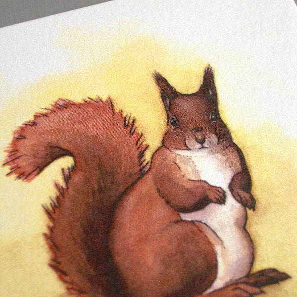 Red Squirrel - Postcard