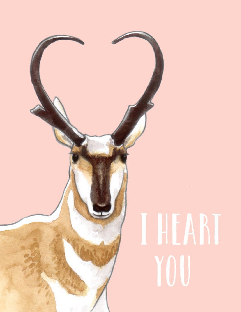 love note Heart Love Card couples card illustrated greeting card thinking of you card Blank Inside anniversary card