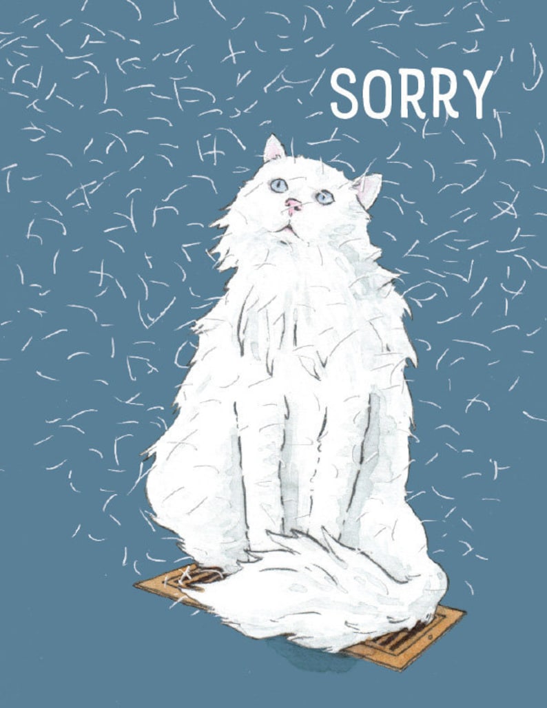 Funny Apology Card i/'m sorry Blank Inside  sorry card forgive me illustrated greeting card sweet friend card