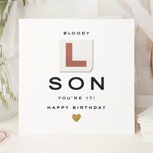 Funny 17th Birthday Card for Son: Learner Plate & Glitter Heart