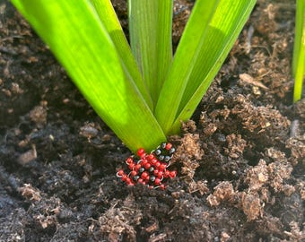 Può includere: Una piccola coccinella rossa e nera fatta di perline è annidata nel terreno alla base di una pianta verde.
