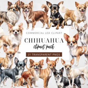 Chihuahua Clipart Watercolor Clip Art Chihuahuas Dog Cute Pet Animal Graphics  Digital Download Commercial Use 300 DPI PNG Set of 21