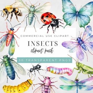 Insekt Clipart Aquarell Insekten Garten Grafiken Schmetterling Ameise Biene Cricket Bug Clip Art Digital Download Kommerzielle Nutzung PNG Set von 30