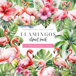Fenicotteri Acquerello Clipart Bundle Clip Art Rosa Grafica colorata Uccelli tropicali esotici Download digitale Uso commerciale PNG Set di 25