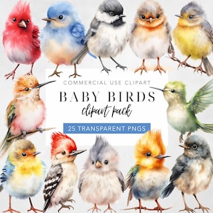 Pássaros aquarela bebê pássaro clipart pacote gráficos coloridos animal bonito clip art berçário arte de parede download digital uso comercial conjunto de 25
