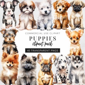 Watercolor Puppy Clipart Dog Breeds Cute Pet Clip Art Animal Graphics Nursery Wall Decor Digital Download Commercial Use PNG Set of 40