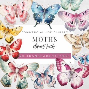 Motte Aquarell Clipart Bundle mit 20 Garten Insekt Grafiken Motte Bild Clip Art Bunte Insekten Digitaler Download Kommerzielle Nutzung PNG 300 DPI