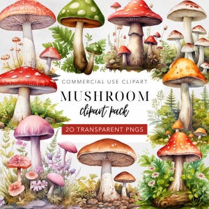 Aquarelle de champignons clipart champignons champignons magiques forêt enchantée sauvage Floral téléchargement numérique usage commercial 300 PDI lot de 20
