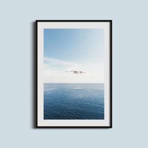 Minimalist Seagull Print, Flying Bird Over Ocean Photography, Blue Coastal Wall Art, Nautical Beach House Home Decor