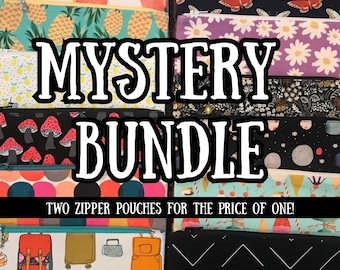 Surprise Mystery Bundle: Set of 2 Assorted Fabric Zipper Pouches